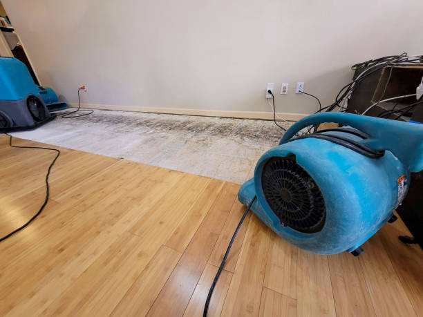 Professional Water Damage Repair technician working in Ostrander, OH